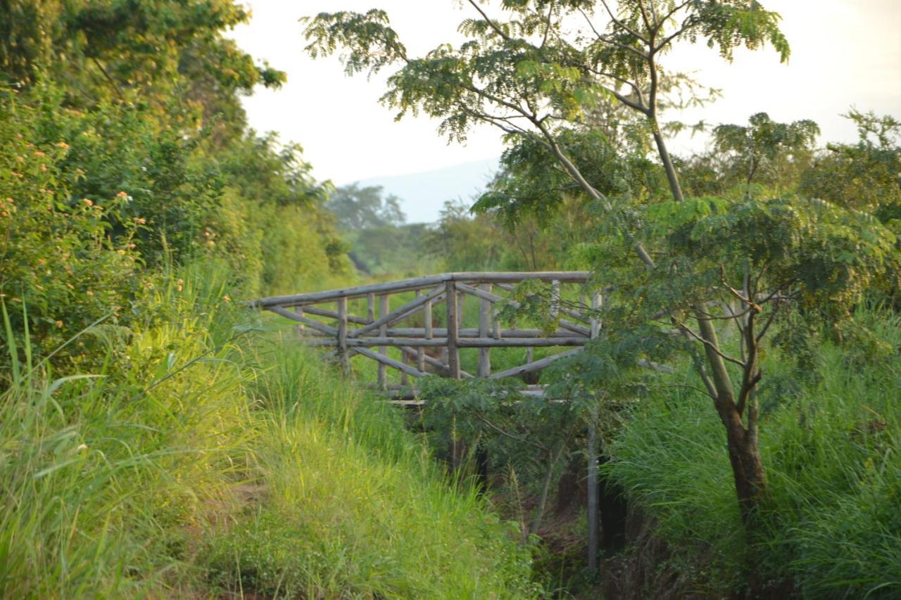 Topi Lodge Katunguru Bagian luar foto
