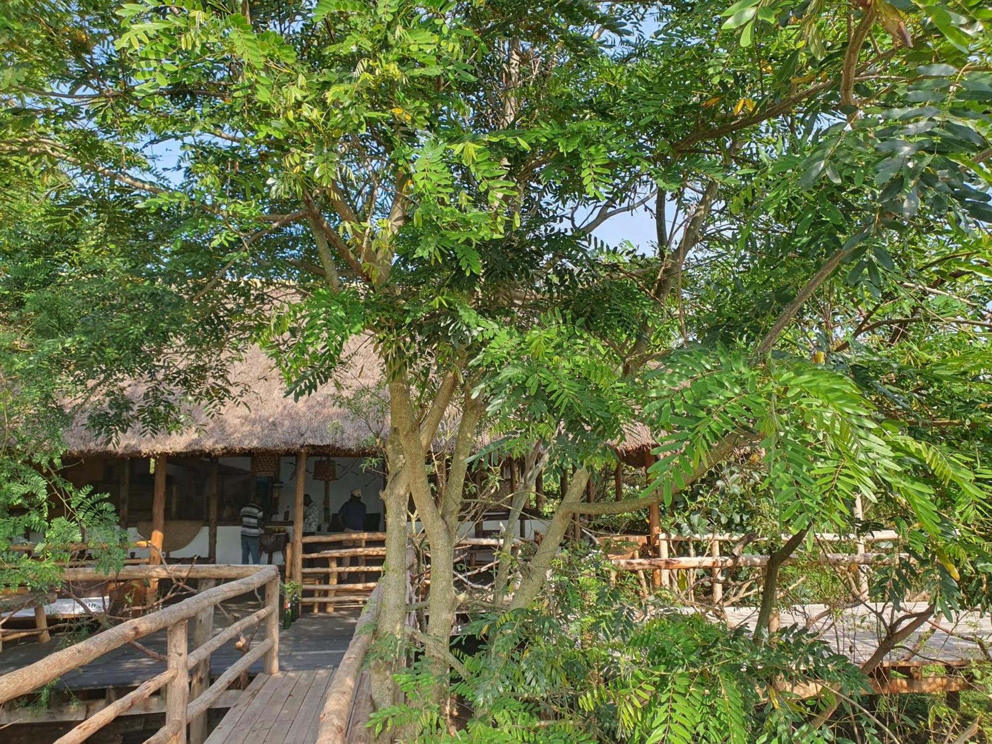 Topi Lodge Katunguru Bagian luar foto