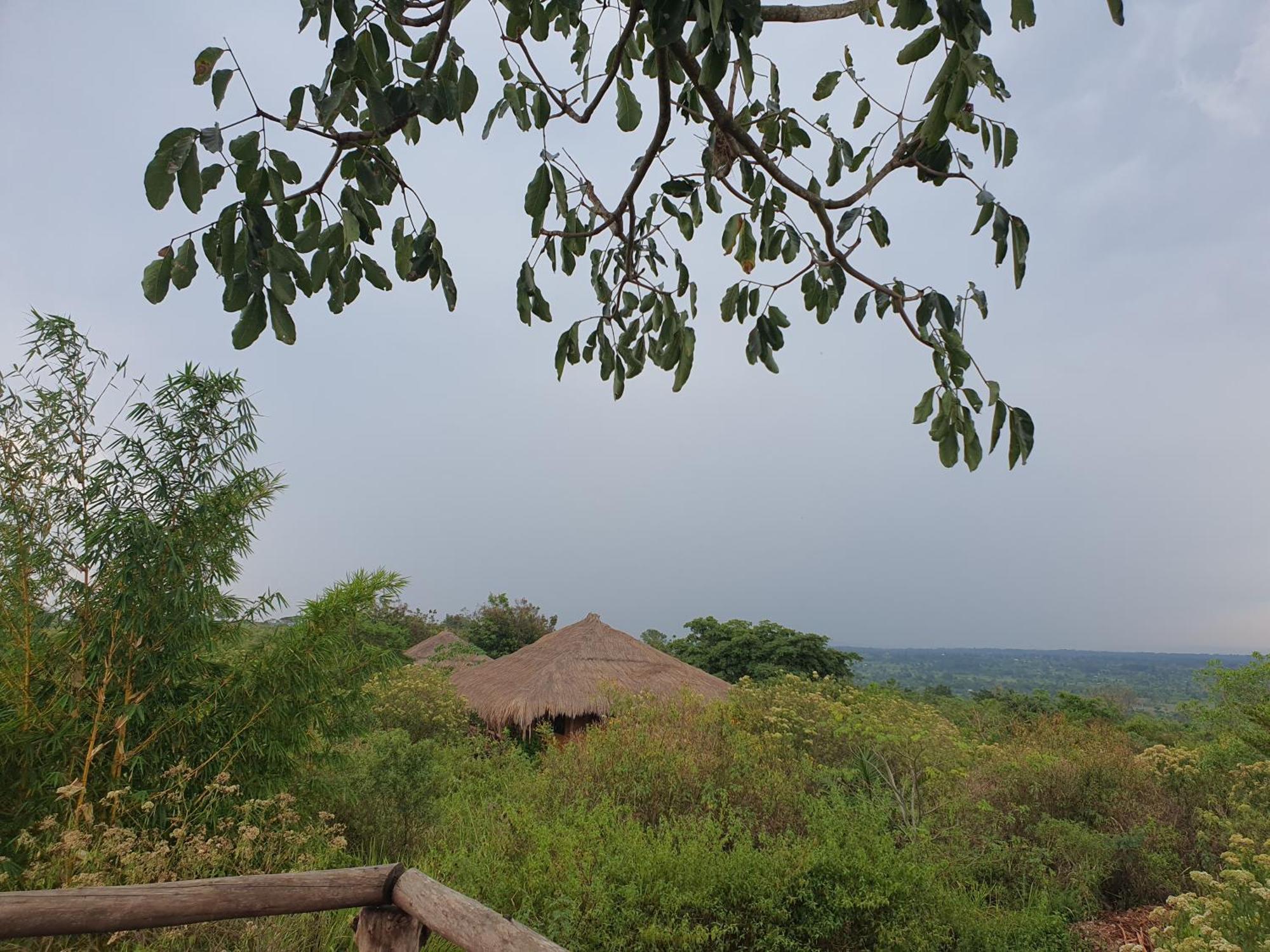 Topi Lodge Katunguru Bagian luar foto